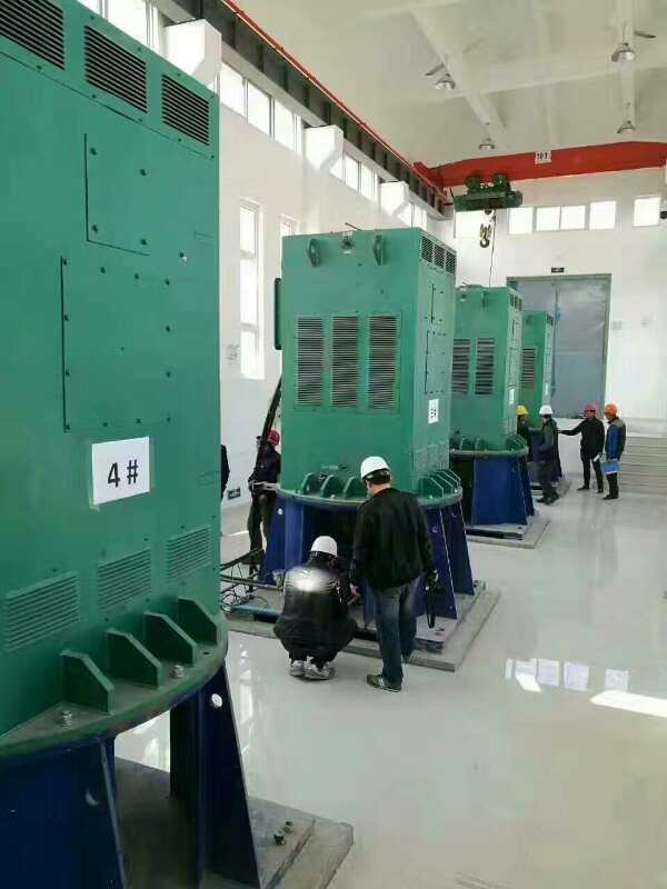 南丹某污水处理厂使用我厂的立式高压电机安装现场